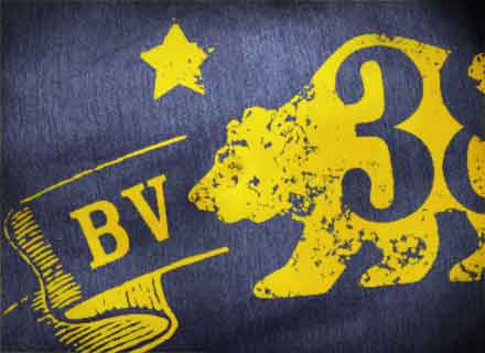 close up of CA State Parks' t-shirt